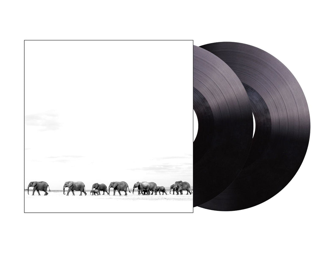 Dave Matthews Band - Where Are You Going: The Singles (2 Lp's)