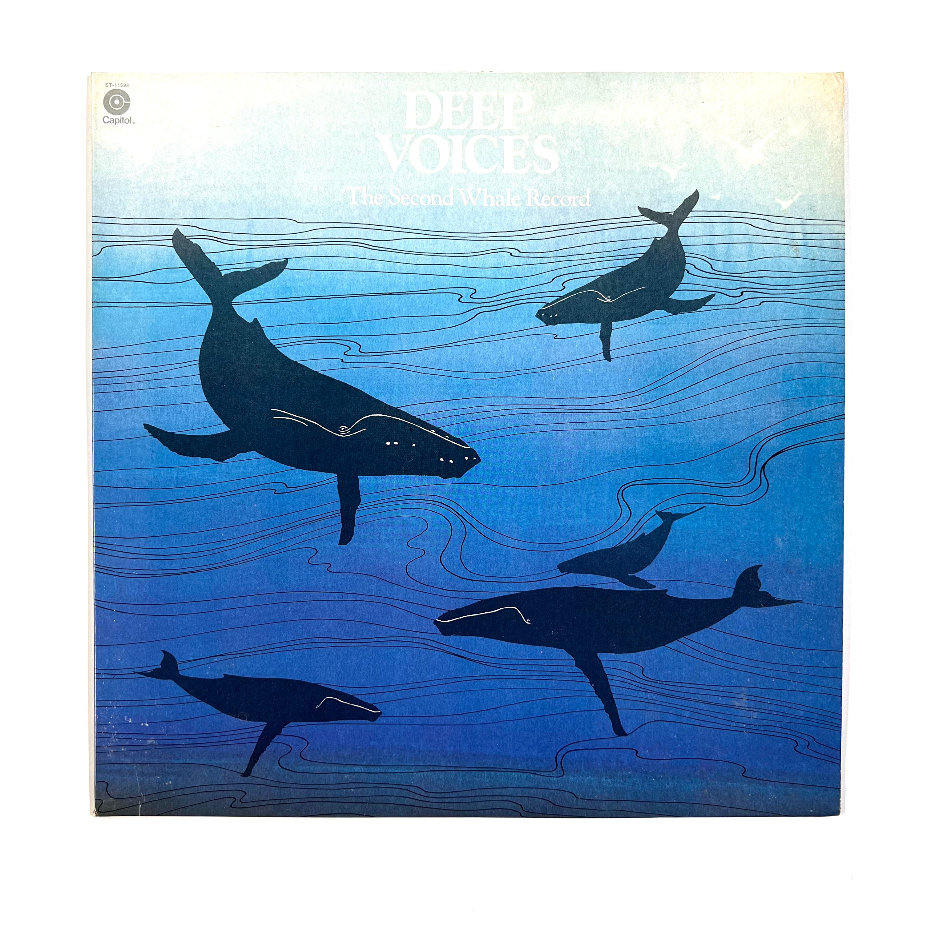 Whales Deep Voices The Second Whale Record Turntable Revival whales-deep-voices-the-second-whale-record-turntable-revival
