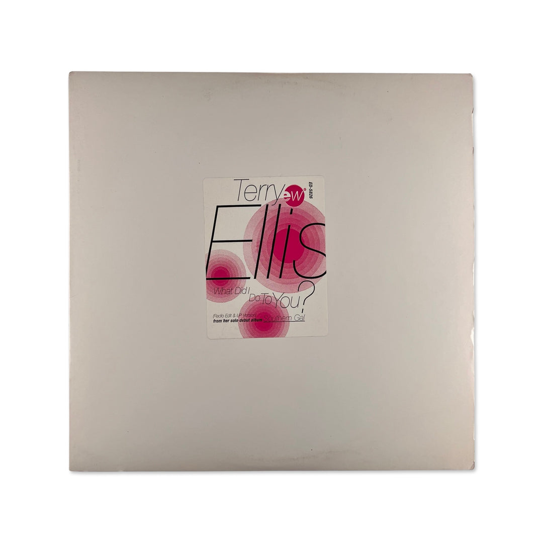 Terry Ellis - What Did I Do To You?