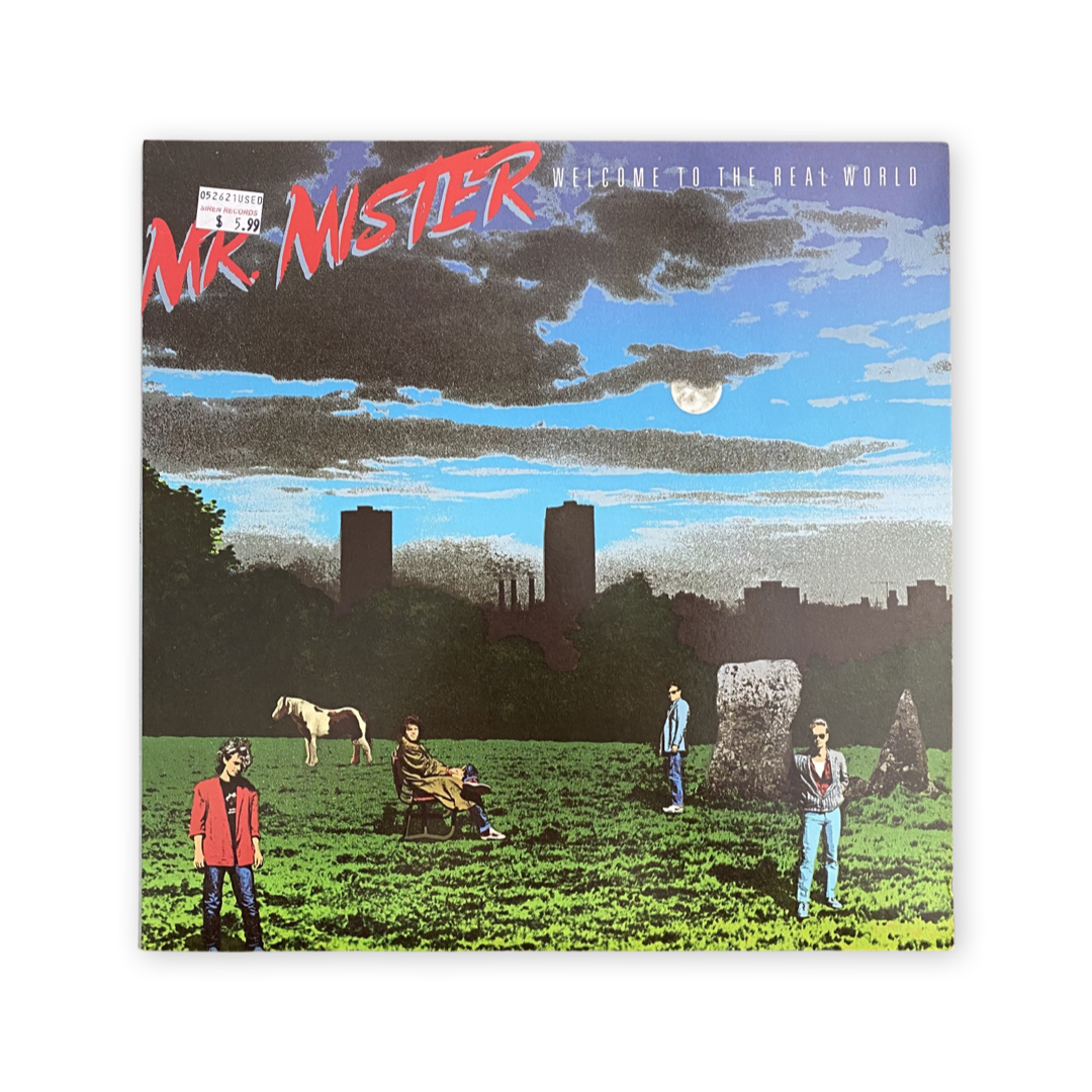 Mr. Mister - Welcome To The Real World