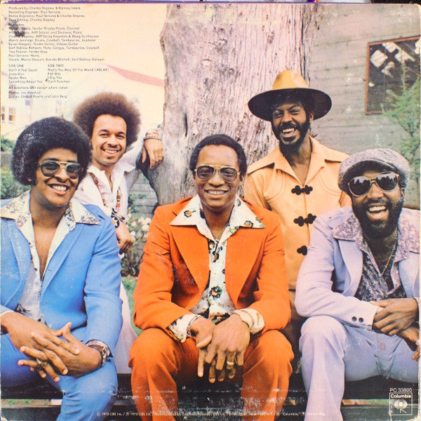 Ramsey Lewis : Don't It Feel Good (LP, Album, Pit)
