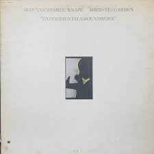 Teegarden & Van Winkle : Experimental Groundwork (LP, Album, Promo)