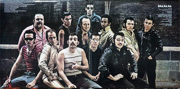 Sha Na Na : The Golden Age Of Rock 'n' Roll (2xLP, Album, Ter)