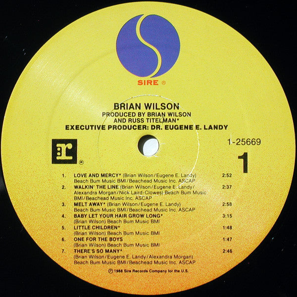 Brian Wilson : Brian Wilson (LP, Album, Spe)