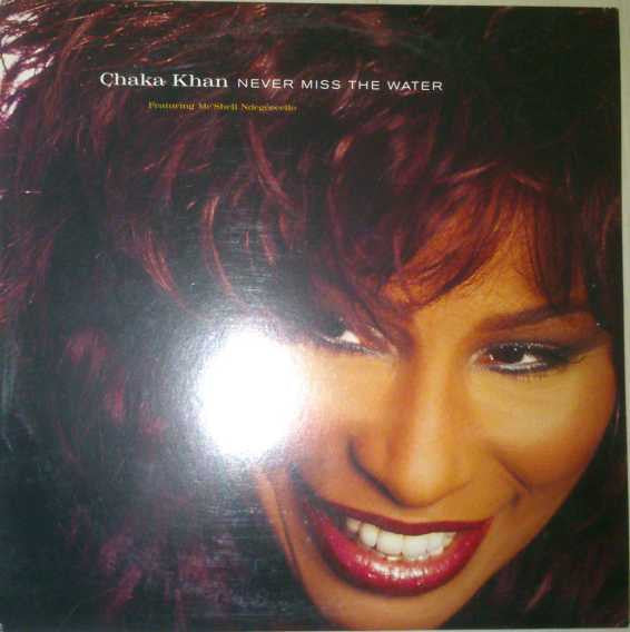 Chaka Khan : Never Miss The Water (12", Promo)