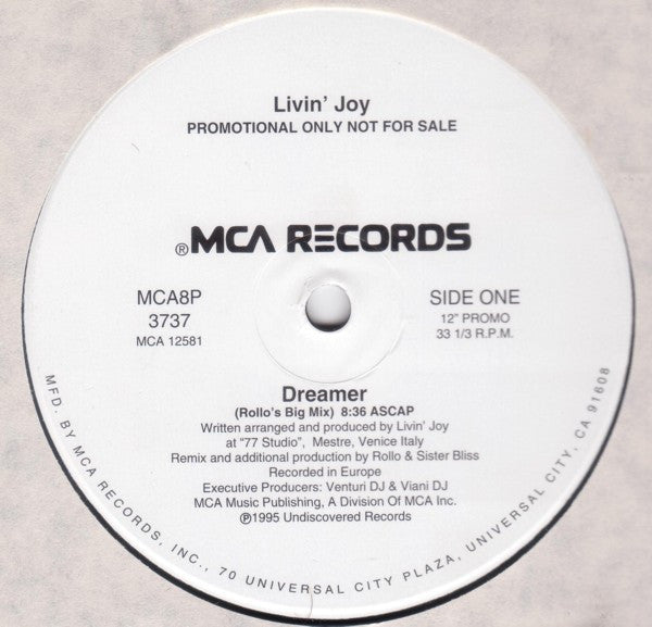 Livin' Joy : Dreamer (12", Promo)