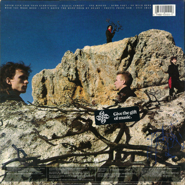 Immaculate Fools : Dumb Poet (LP, Album)