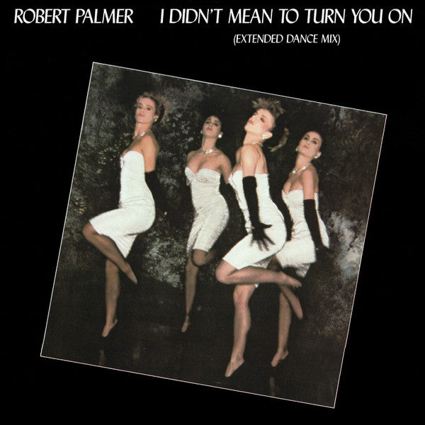 Robert Palmer : I Didn't Mean To Turn You On (Extended Dance Mix) (12", SP )