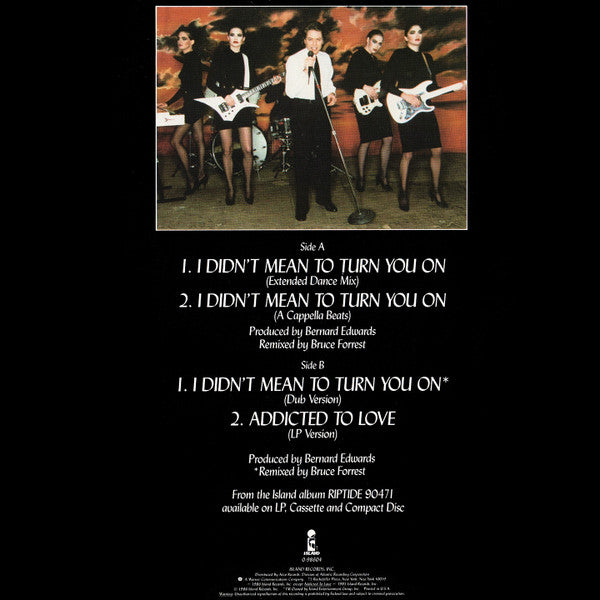 Robert Palmer : I Didn't Mean To Turn You On (Extended Dance Mix) (12", SP )