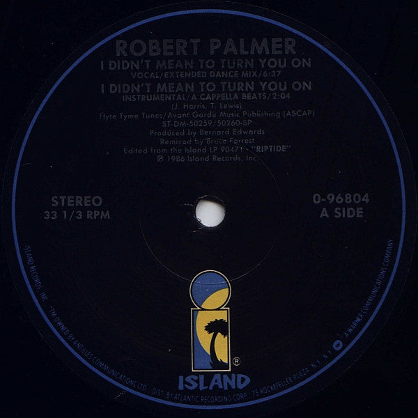 Robert Palmer : I Didn't Mean To Turn You On (Extended Dance Mix) (12", SP )
