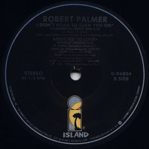 Robert Palmer : I Didn't Mean To Turn You On (Extended Dance Mix) (12", SP )