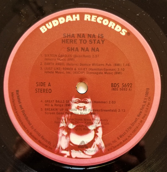 Sha Na Na : Sha Na Na Is Here To Stay (LP, Comp)