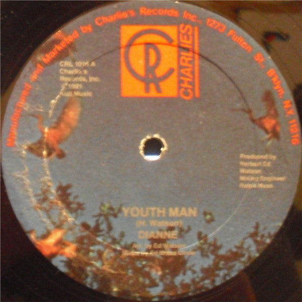 Singing Dianne : Youth Man (12")