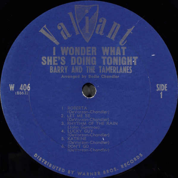 Barry And The Tamerlanes : I Wonder What She's Doing Tonight (LP, Mono)