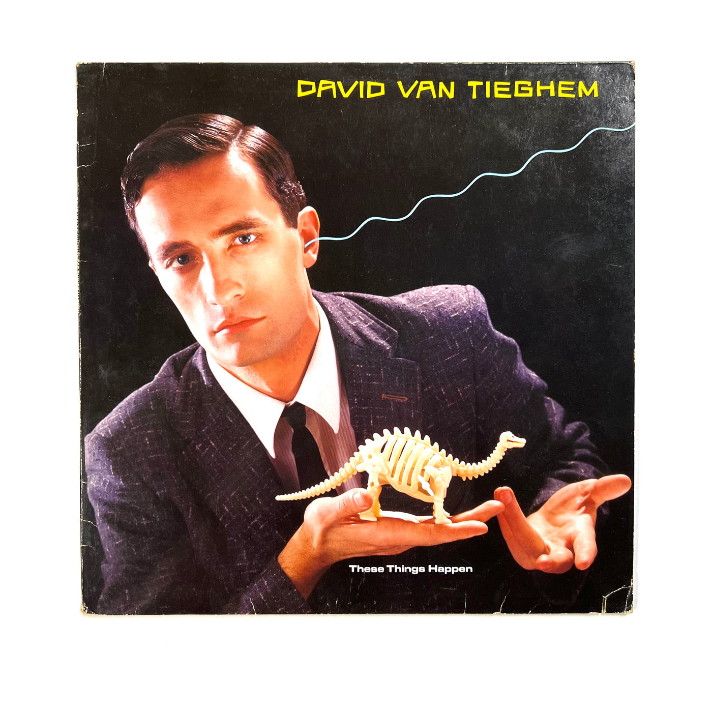 David Van Tieghem - These Things Happen