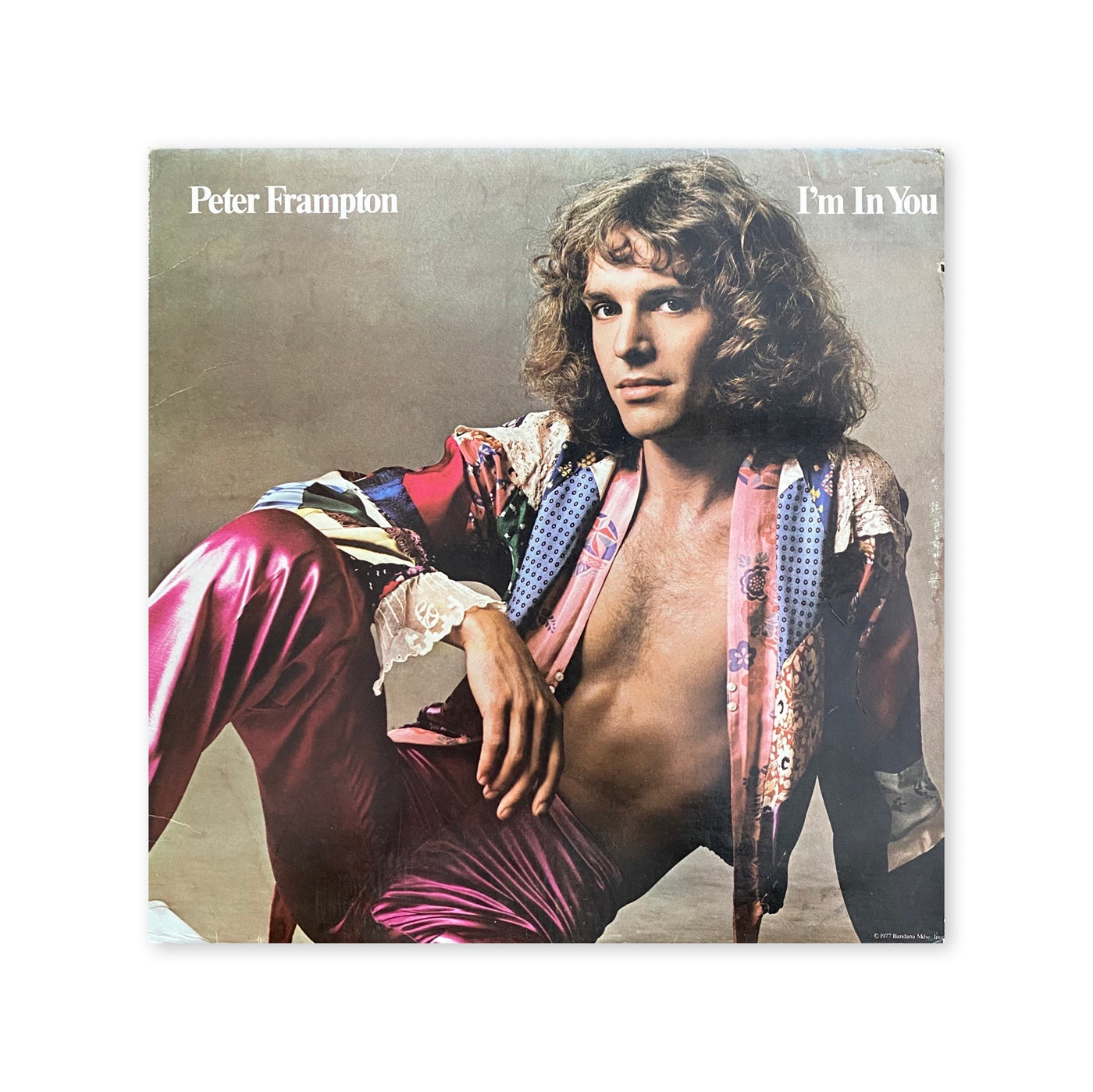 Peter Frampton - I'm In You