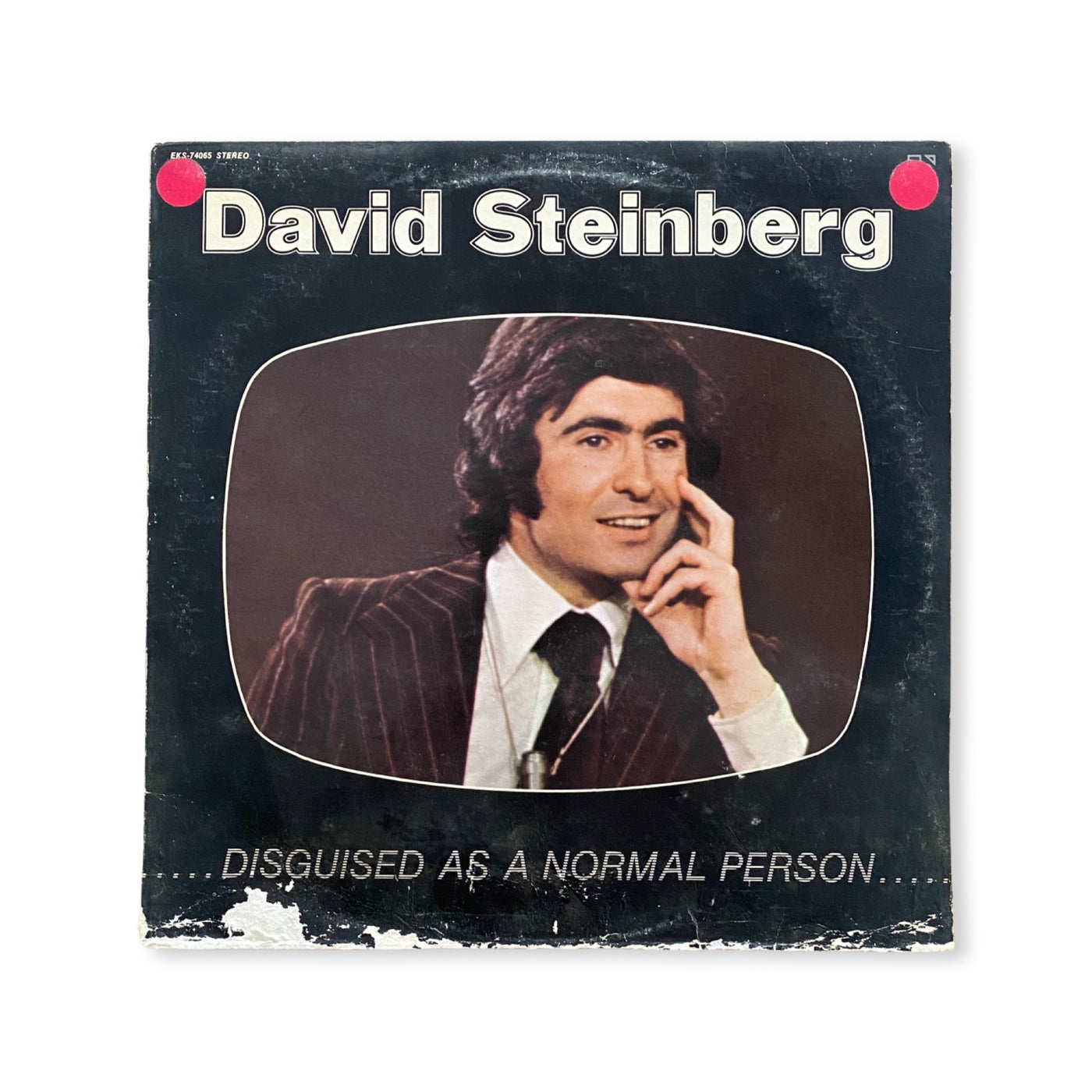 David Steinberg - Disguised As A Normal Person